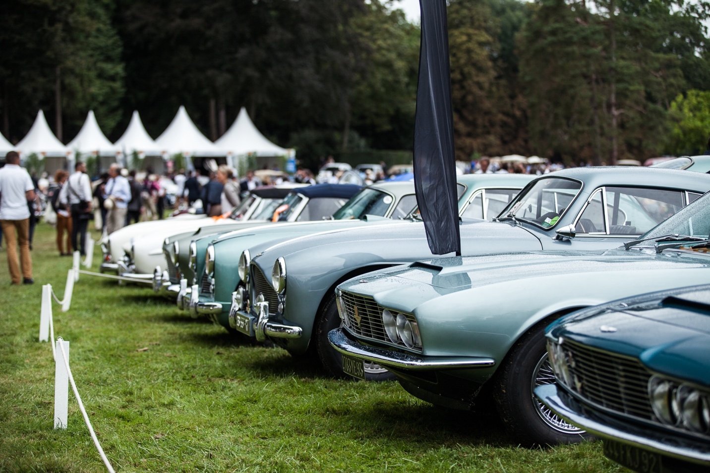 Richard Mille Viet Nam,  cuoc thi xe co dien anh 3