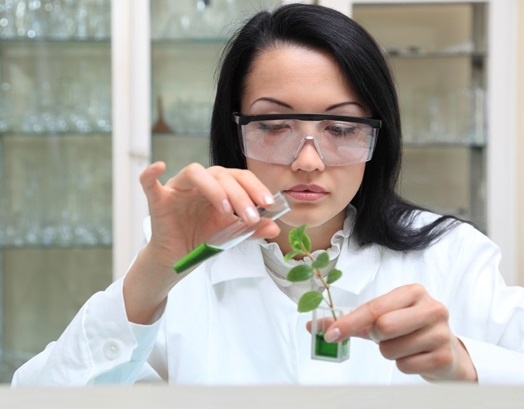 Nhung nganh khoa hoc tu nhien STEM dang chu y tai My hinh anh