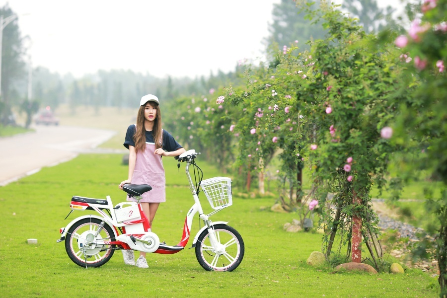 Zinger Color 2 , HKbike ảnh 4 Zinger Color 2 , HKbike anh 4