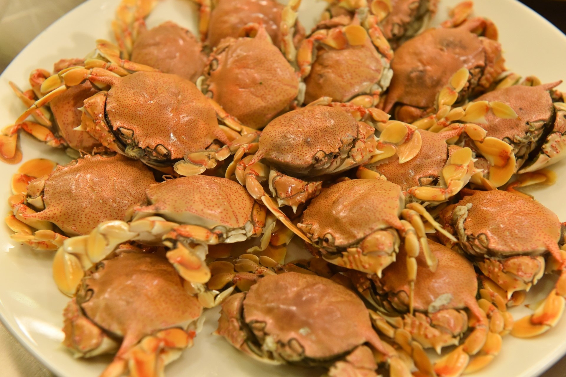 Chiếc thìa vàng 2016 ảnh 6 Chiec thia vang 2016 anh 6