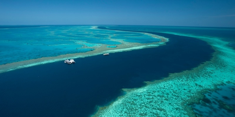 nhung diem den khong the bo qua o Australia anh 6