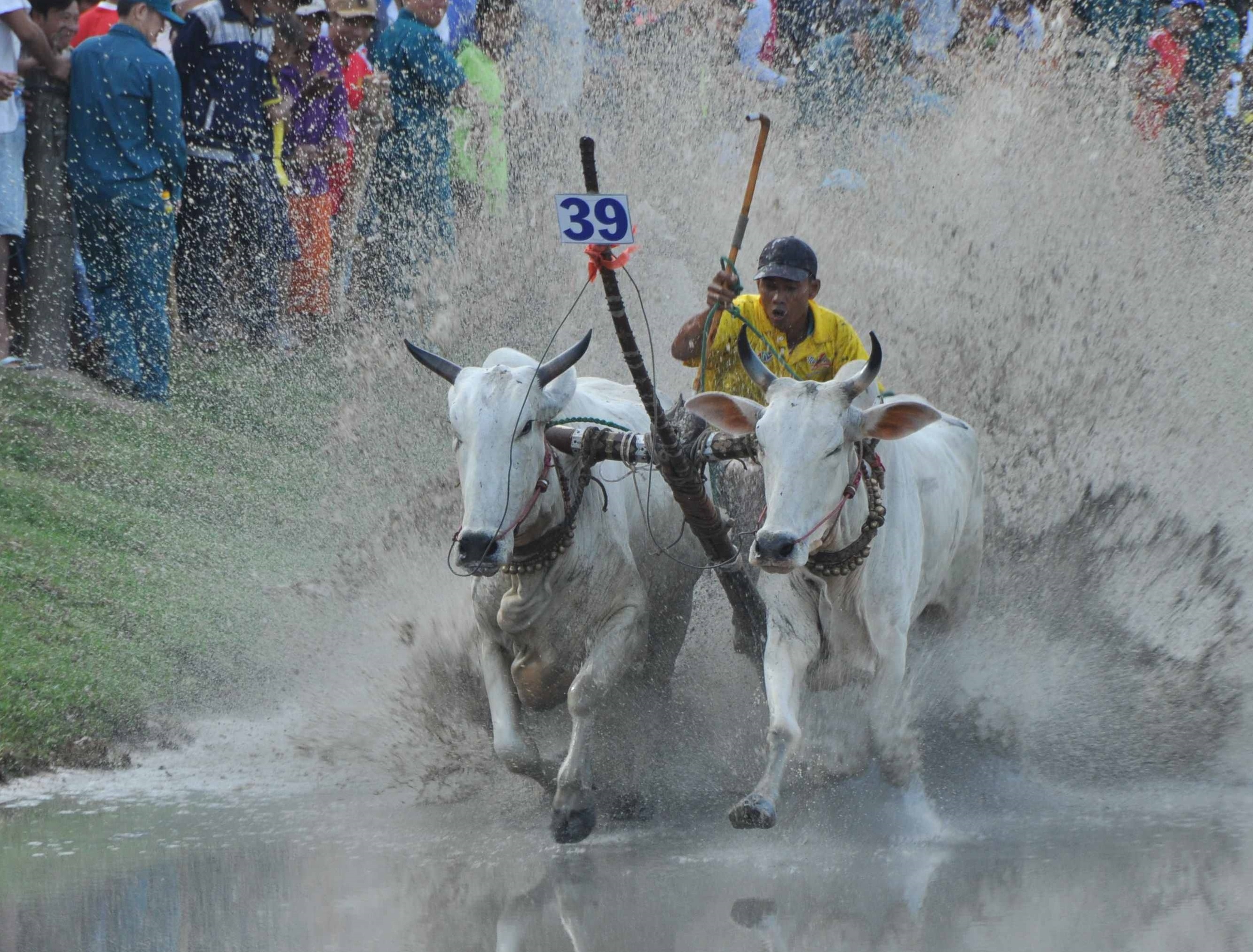 Number 1 mang khong khi nao nhiet den le hoi dua bo Bay Nui hinh anh