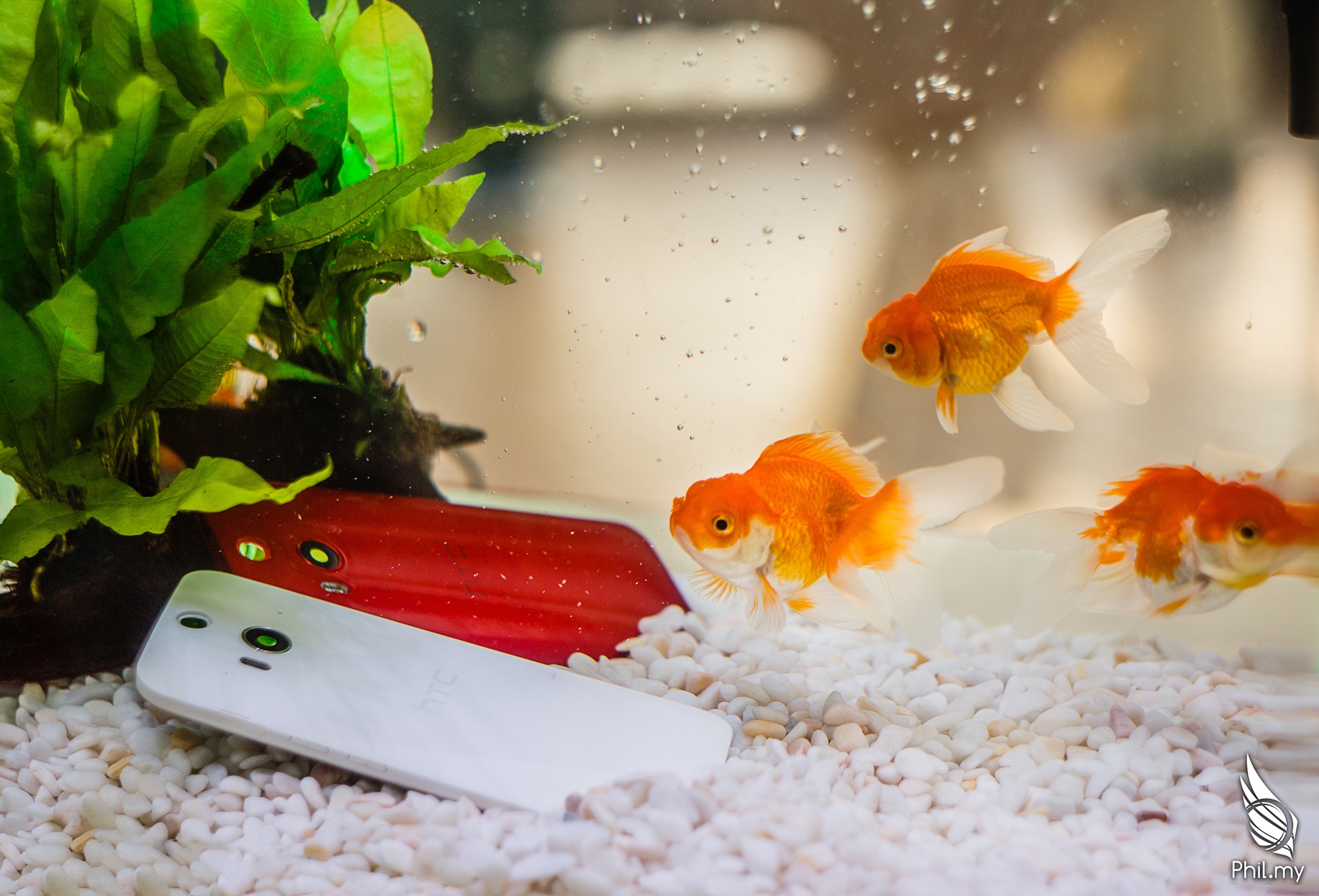 smartphone chống nước ảnh 5 smartphone chong nuoc anh 5