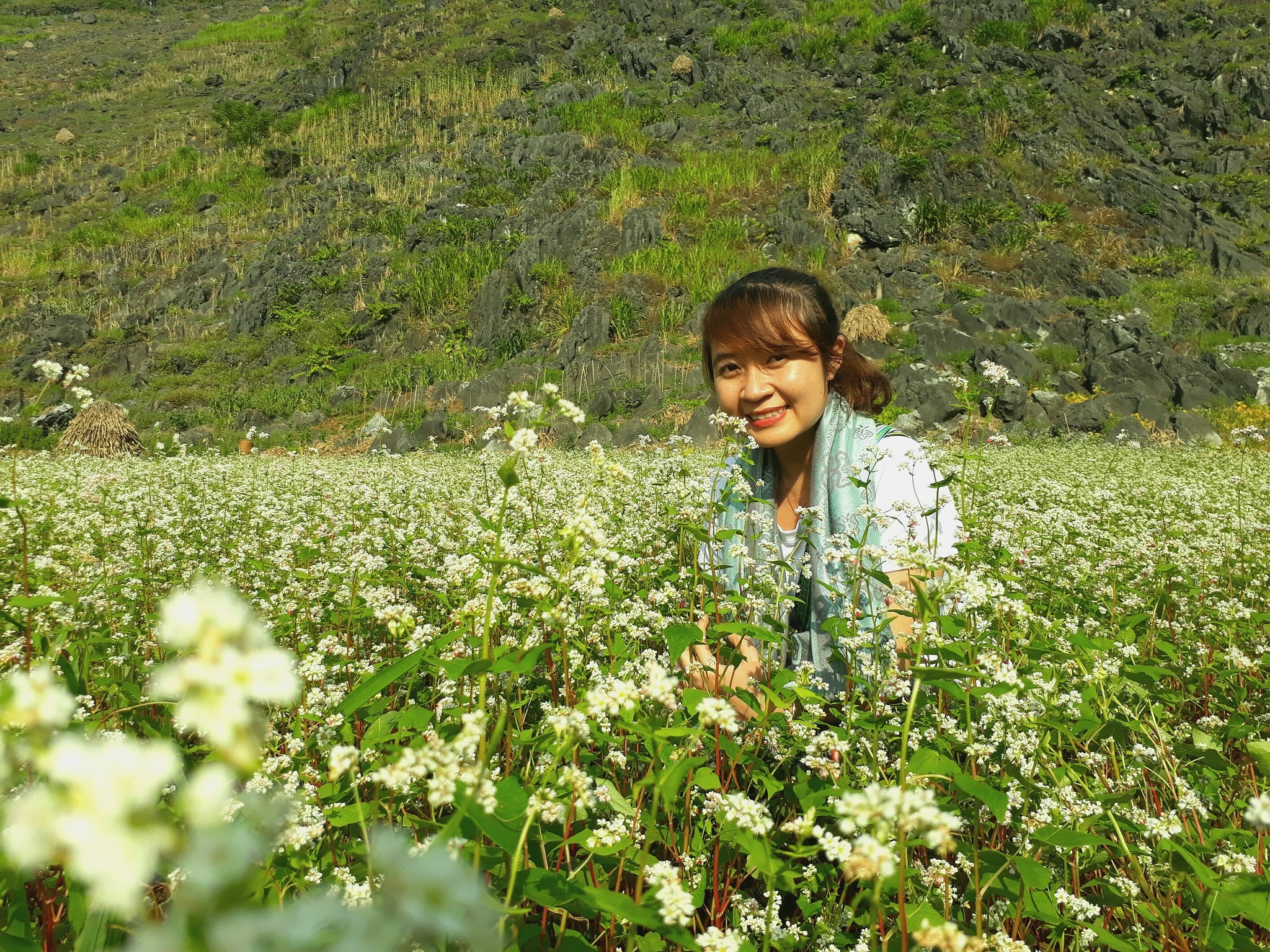 Kham pha Ha Giang mua tam giac mach hinh anh