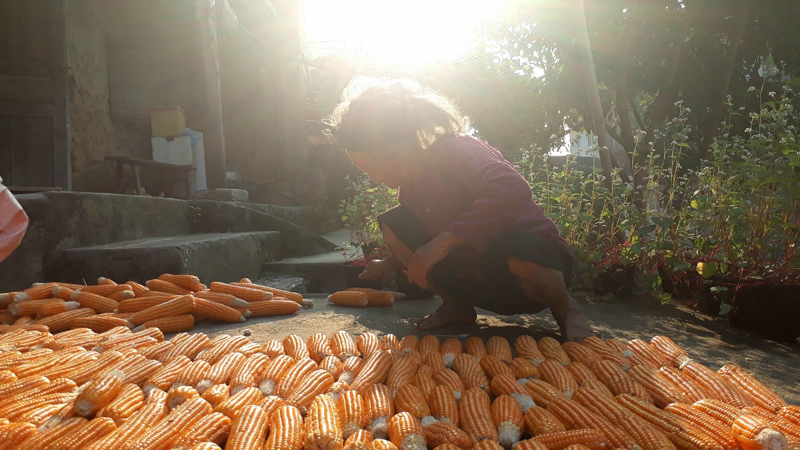 Galaxy J7 Prime,  Samsung anh 6