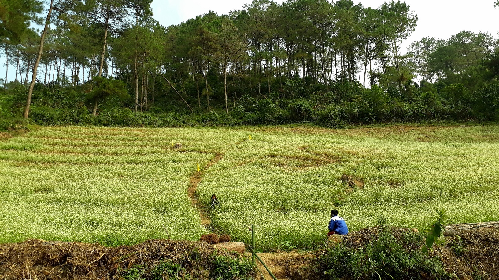 Galaxy J7 Prime,  Samsung anh 7