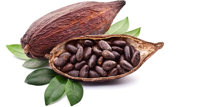 chocolate ảnh 1 chocolate anh 1