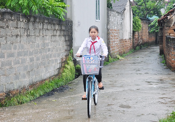 EVN HANOI ảnh 2 EVN HANOI anh 2