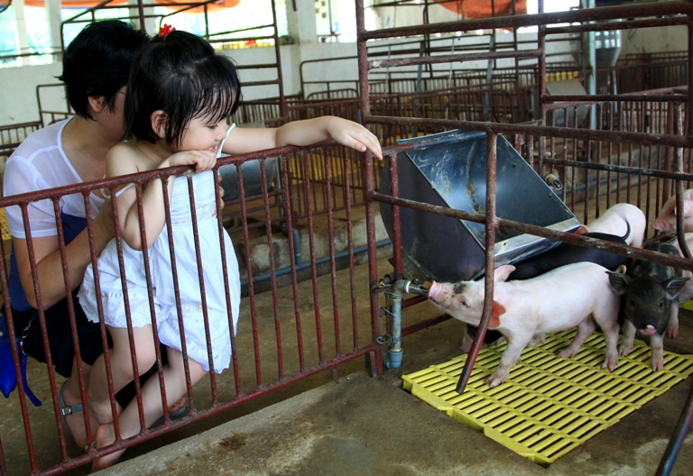 ORFARM ảnh 3 ORFARM anh 3