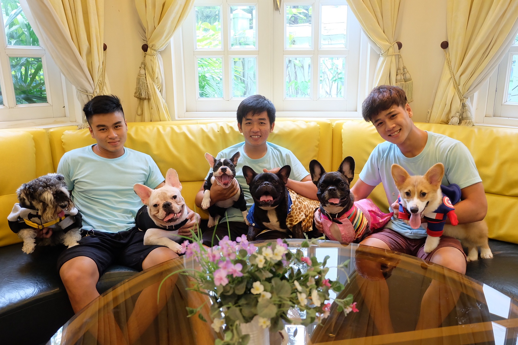 Bed and Pet first anh 1