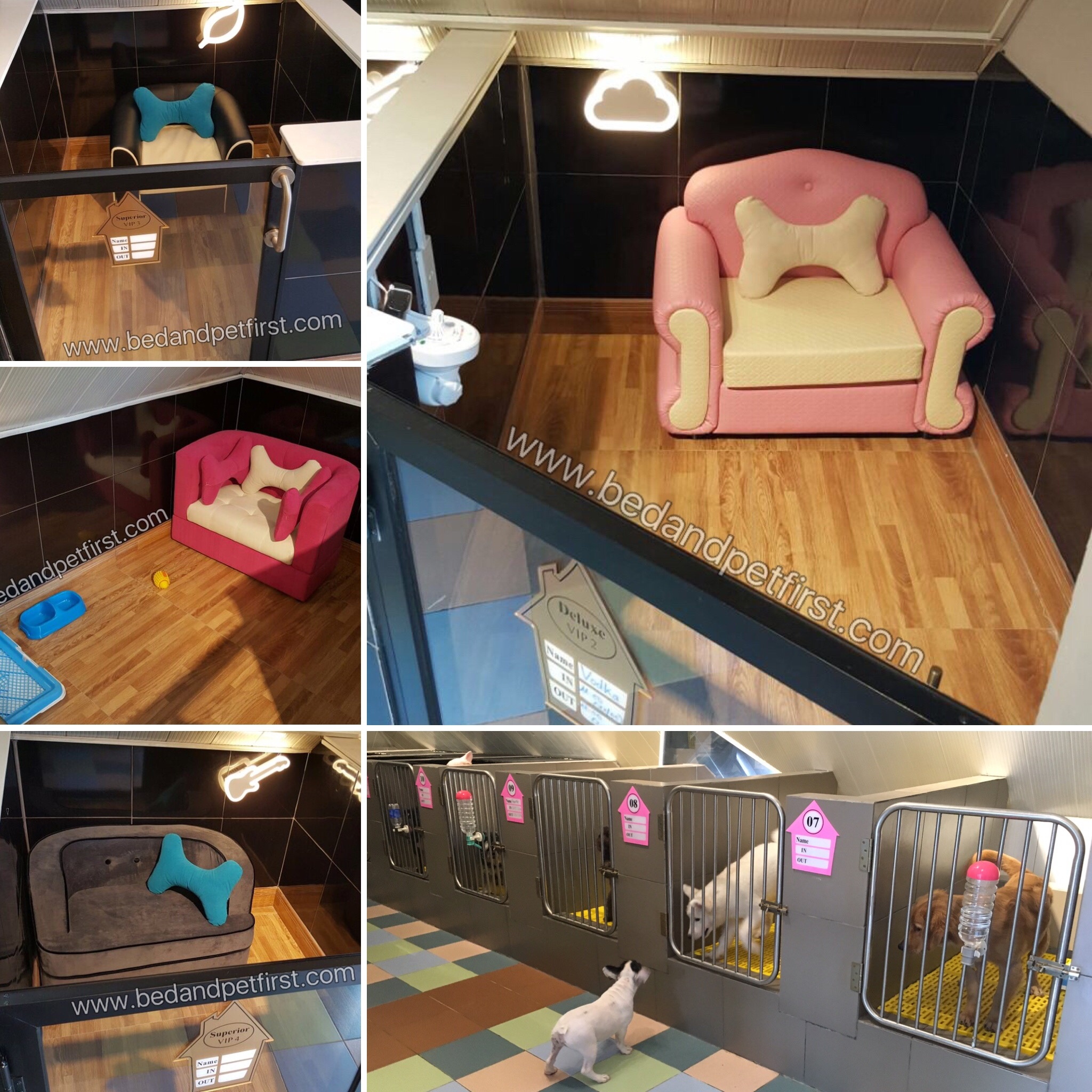 Bed and Pet first anh 4