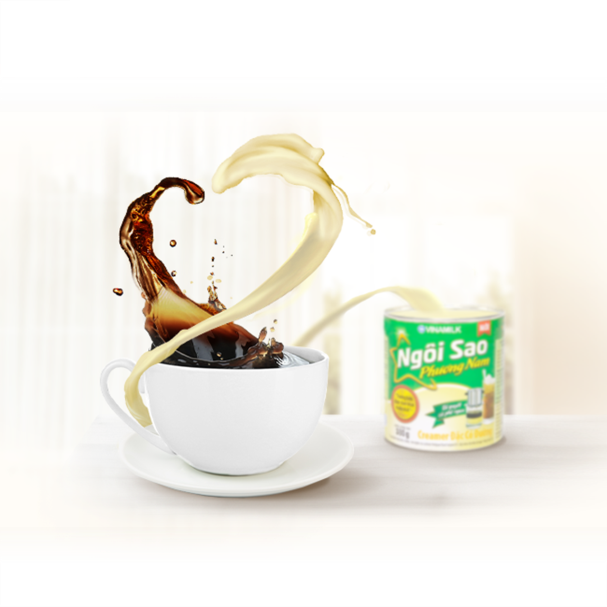 Ngôi Sao Phương Nam ảnh 5 Ngoi Sao Phuong Nam anh 5