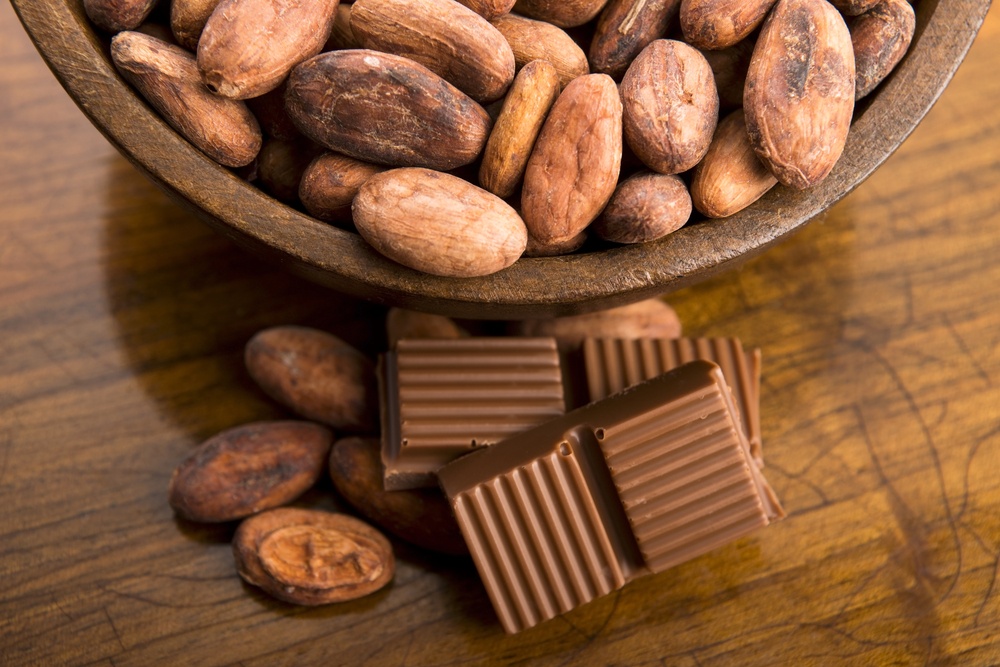 Nhanh giam mo, tang co khi tap gym nho chocolate hinh anh