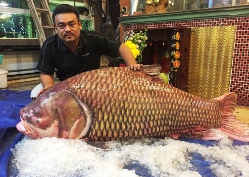 2 diem nhan dac biet cua nha hang ca khong lo tai TP.HCM hinh anh