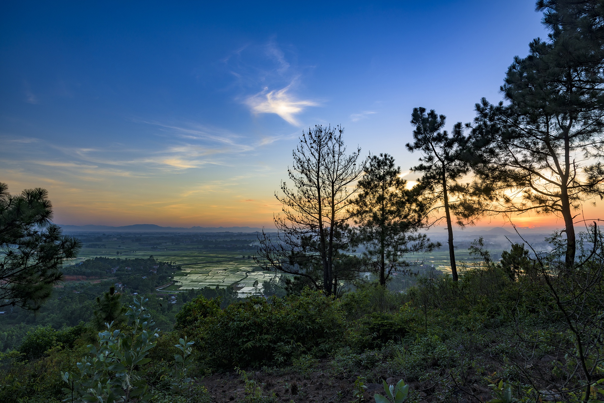 Flamingo Đại Lải ảnh 4 Flamingo Dai Lai anh 4