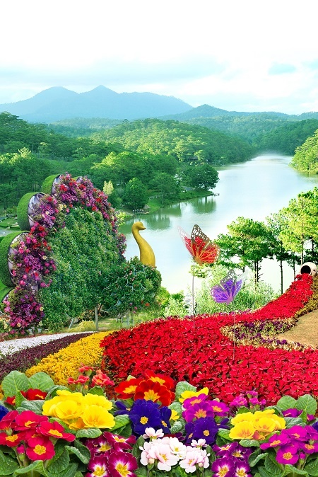 TTC Hotel Premium ảnh 6 TTC Hotel Premium anh 6