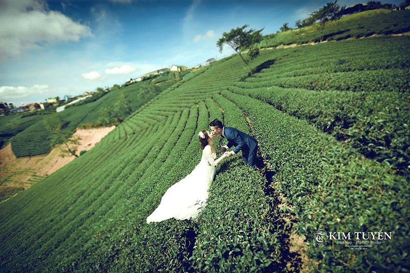 TTC Hotel Premium ảnh 9 TTC Hotel Premium anh 9