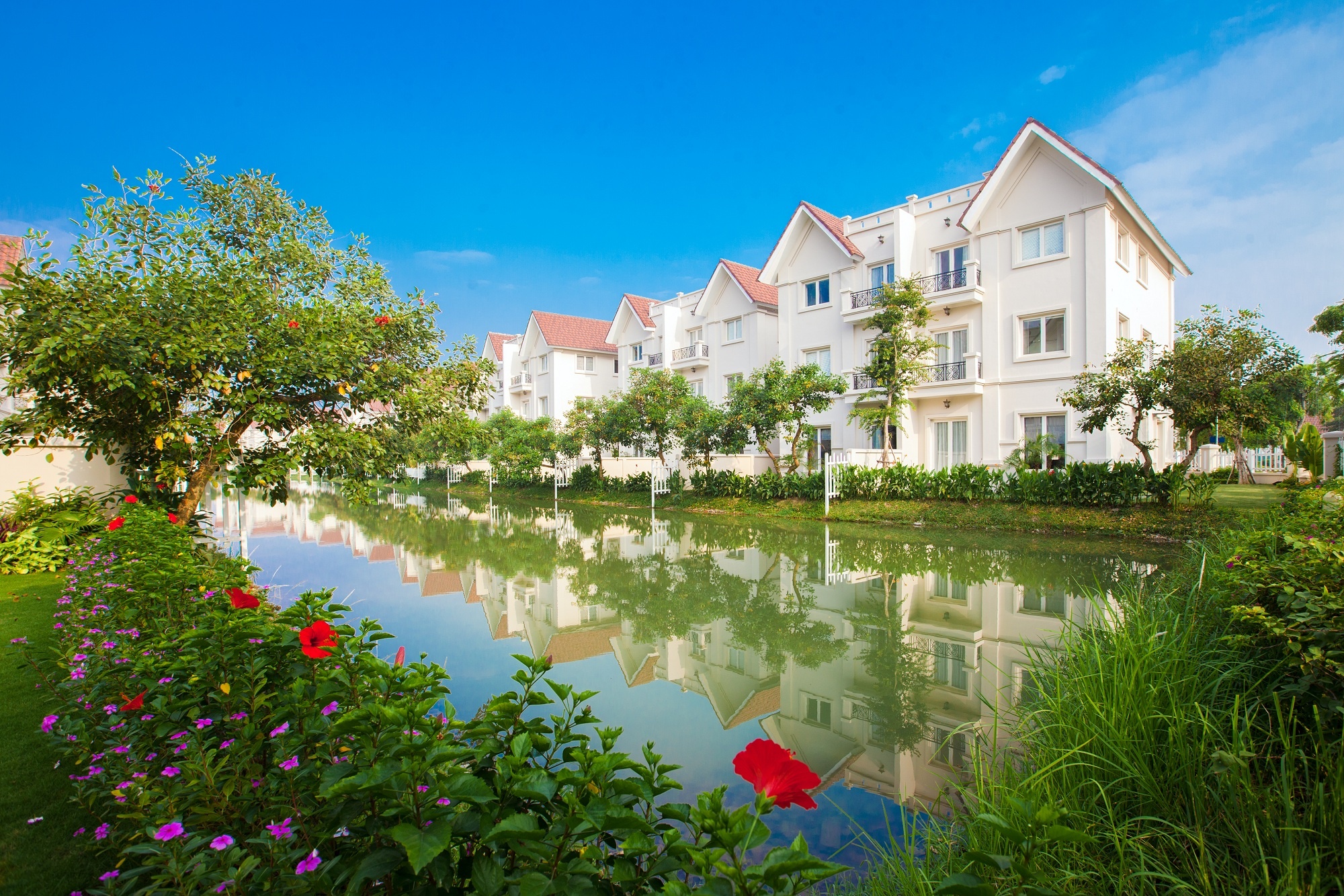 Suy thoai khong khi, nguoi dan thu do tim ve cac du an xanh hinh anh