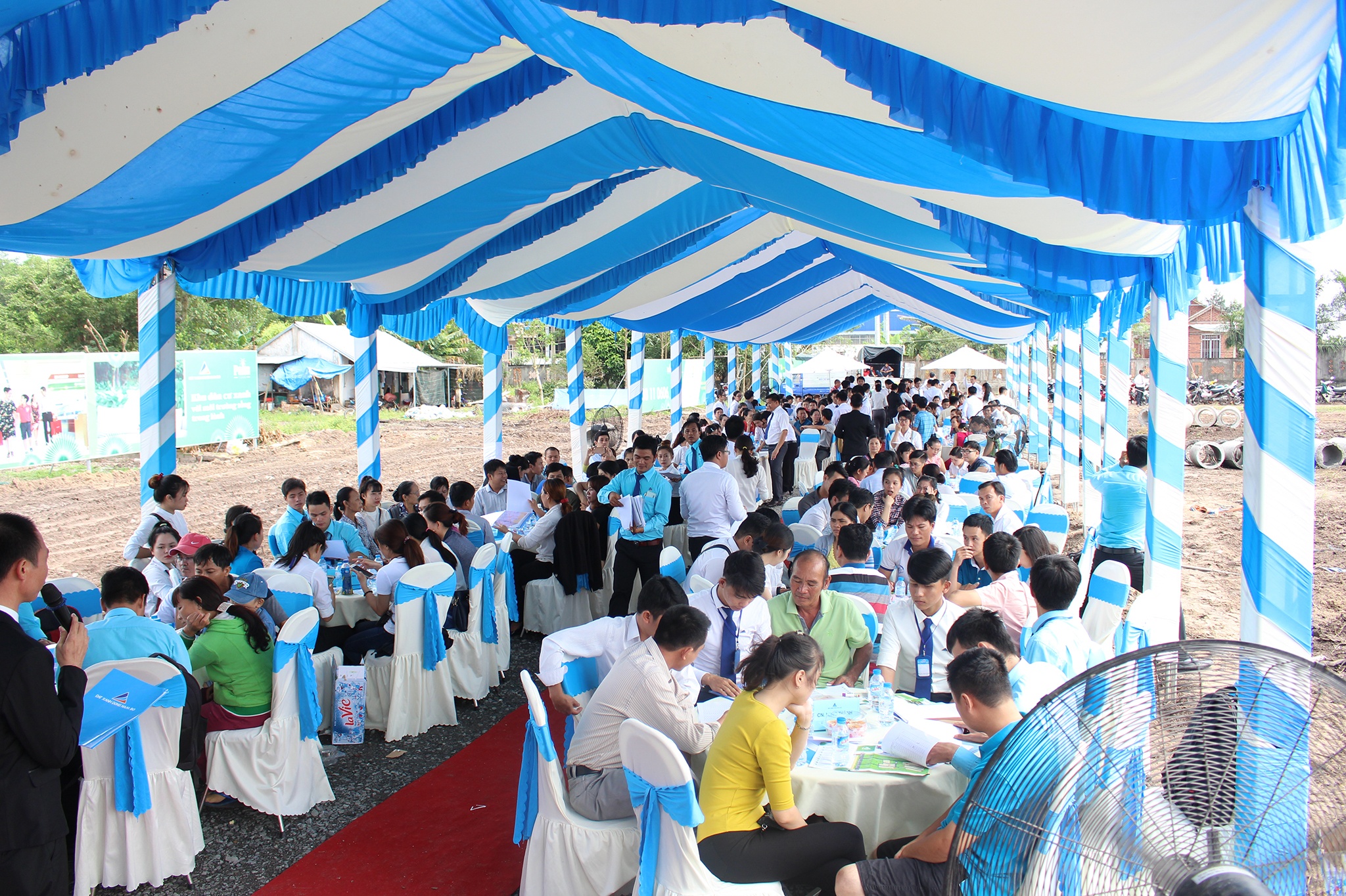 Mo ban dat nen Palm Town: 81 luot dat coc chi trong 30 phut hinh anh