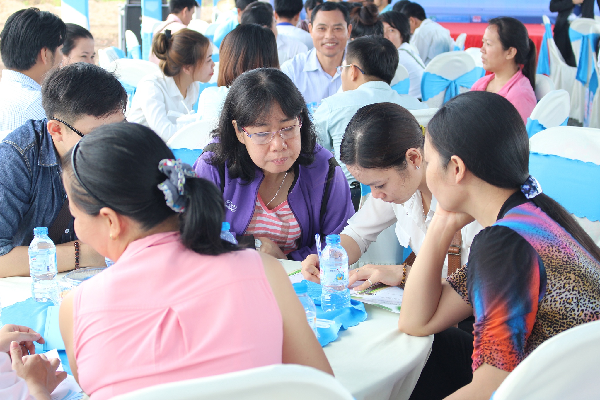 dat nen Palm Town anh 5