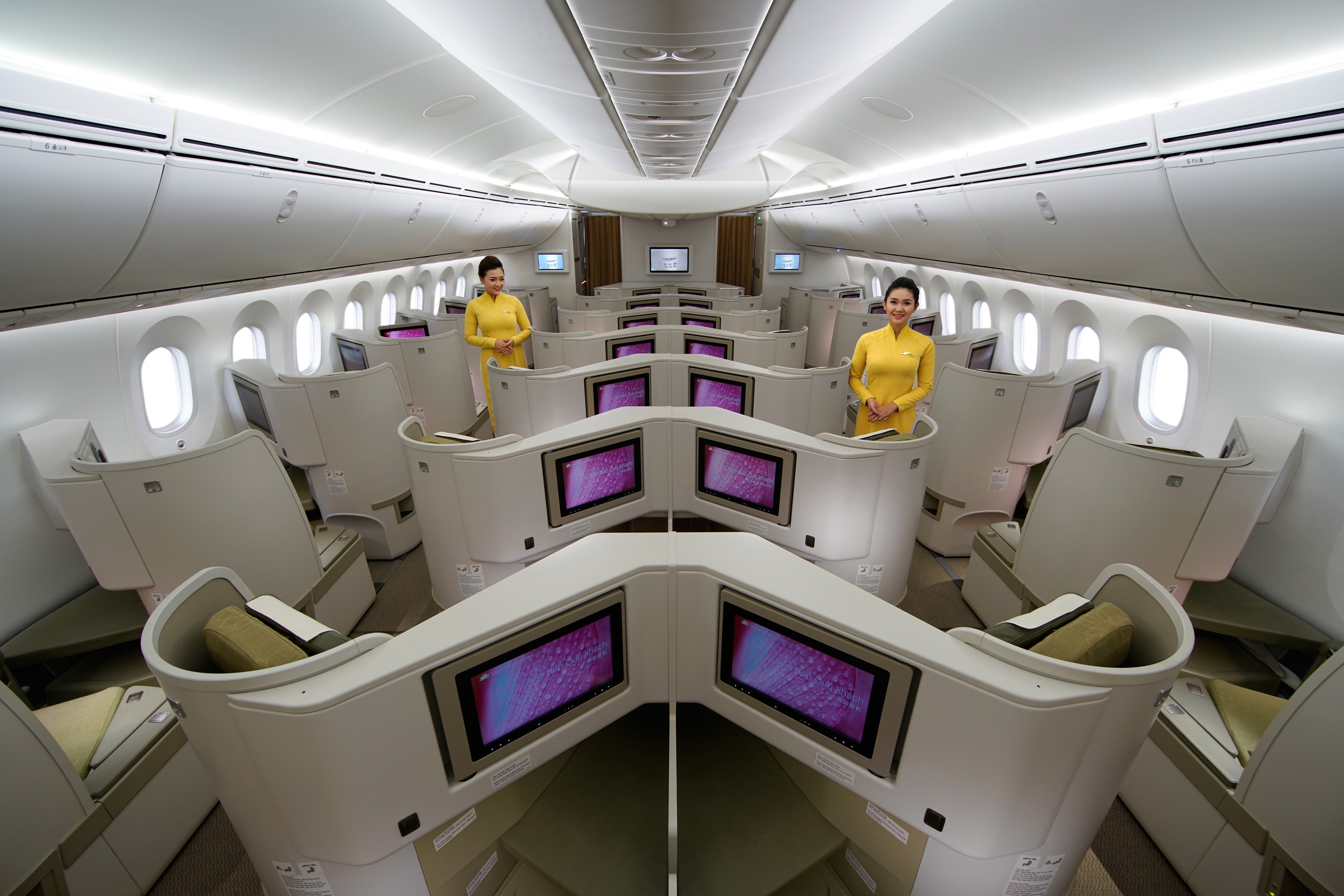 Vietnam Airlines anh 8