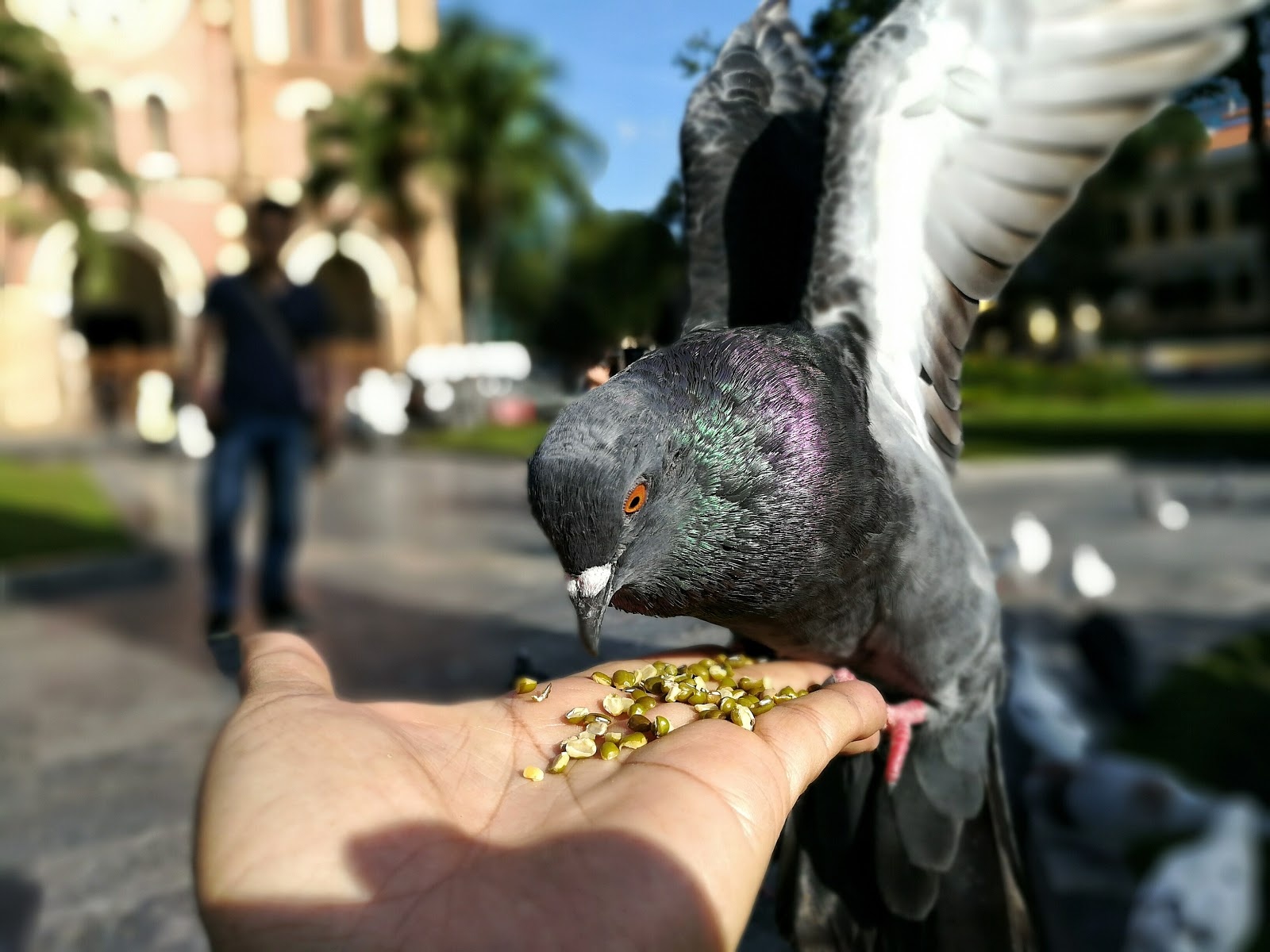 Huawei GR5 2017 anh 1