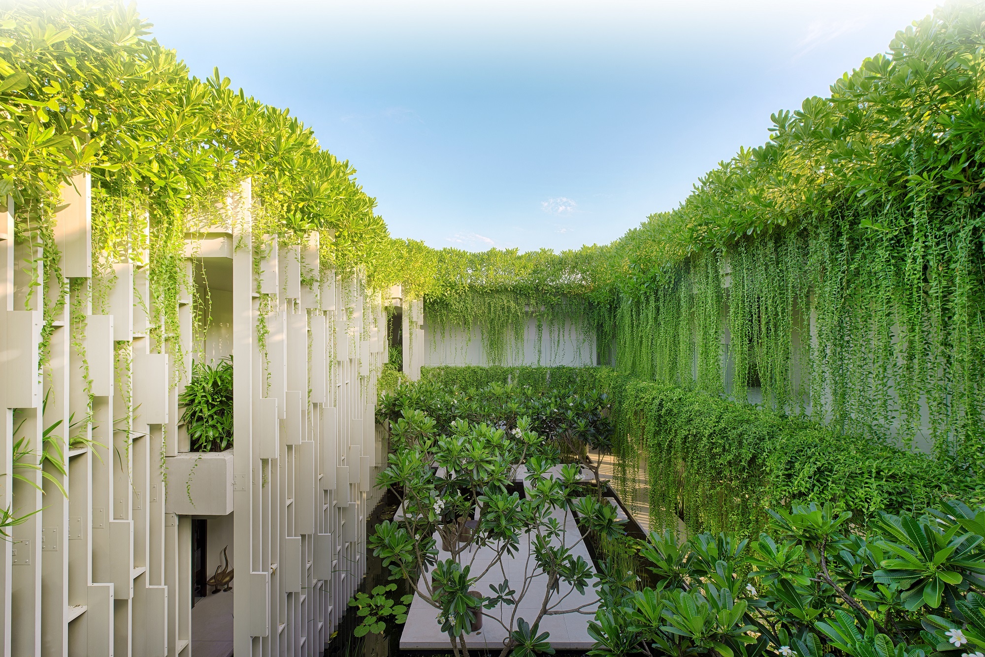 Naman Retreat,  Naman Garden anh 2