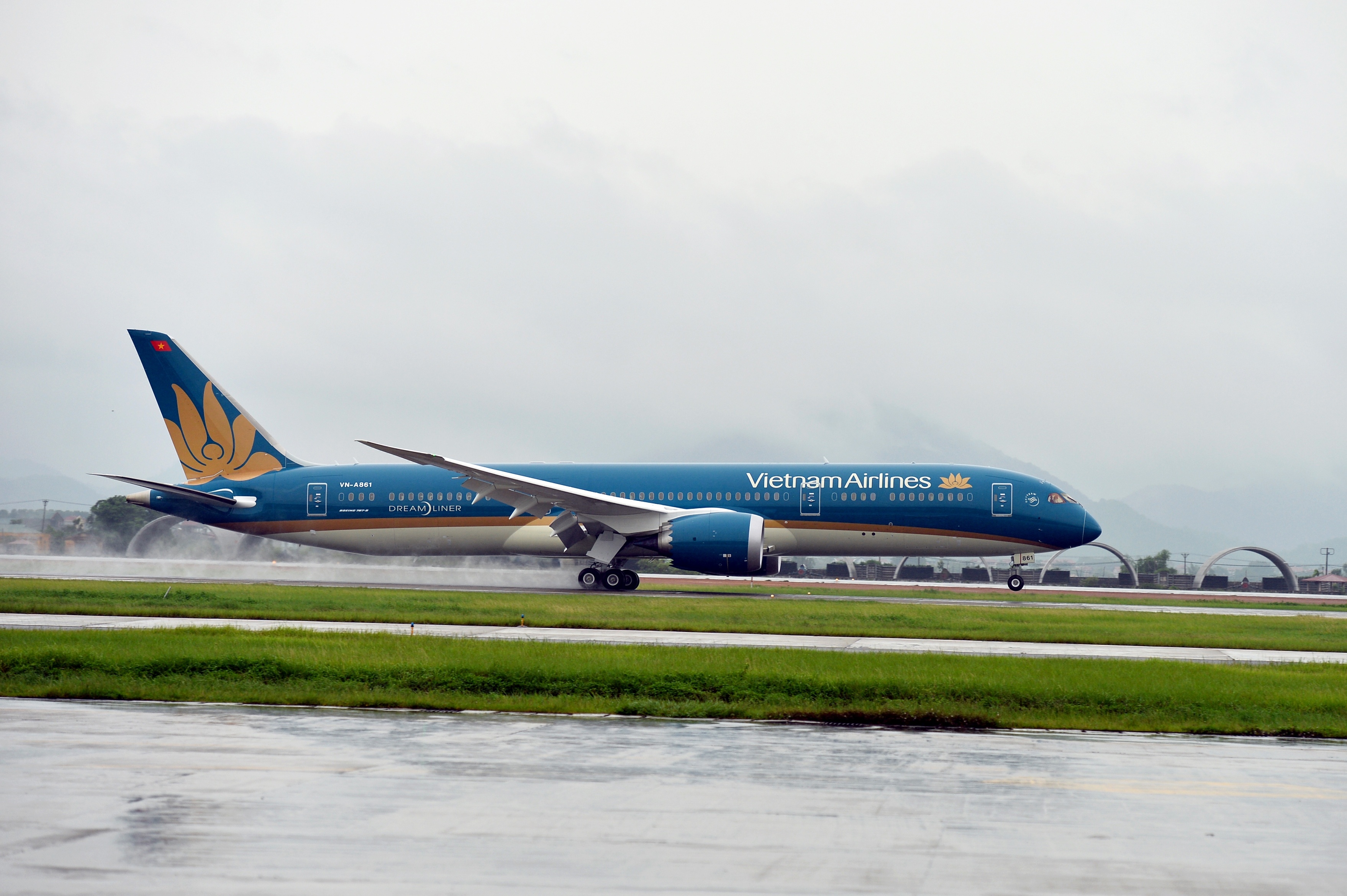 Vietnam Airlines tung gia hap dan di Tokyo hinh anh