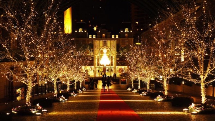 Vietnam Airlines giam gia ve di Tokyo anh 2