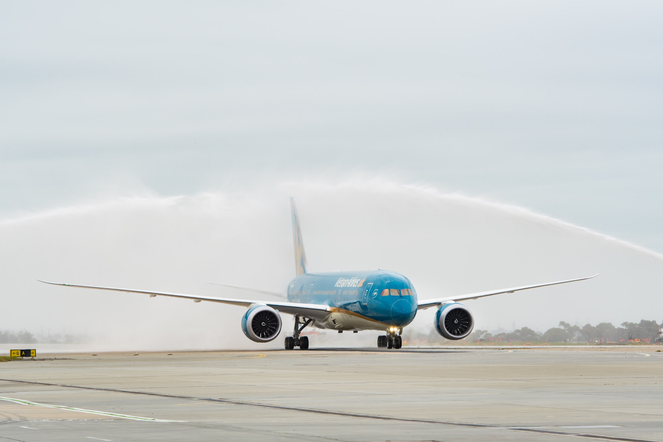 Vietnam Airlines ảnh 1 Vietnam Airlines anh 1