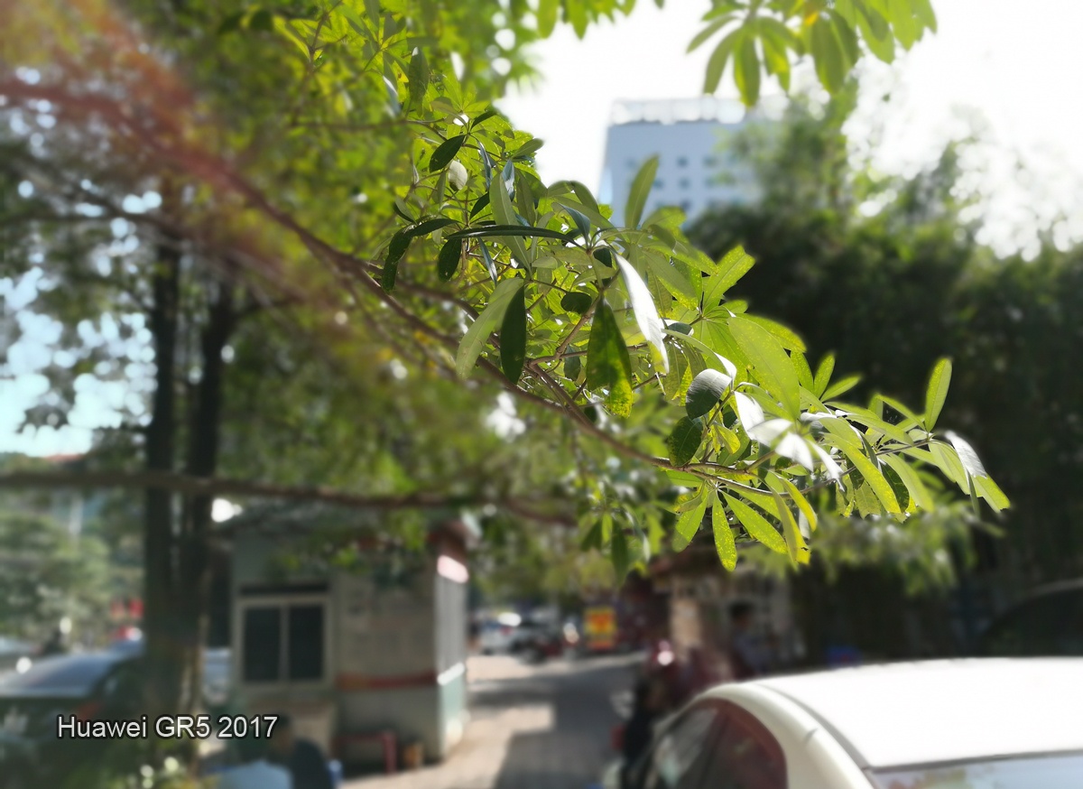 Huawei GR5 2017 anh 2