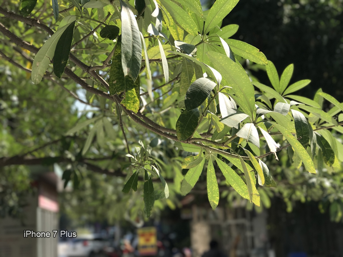 Huawei GR5 2017 anh 3