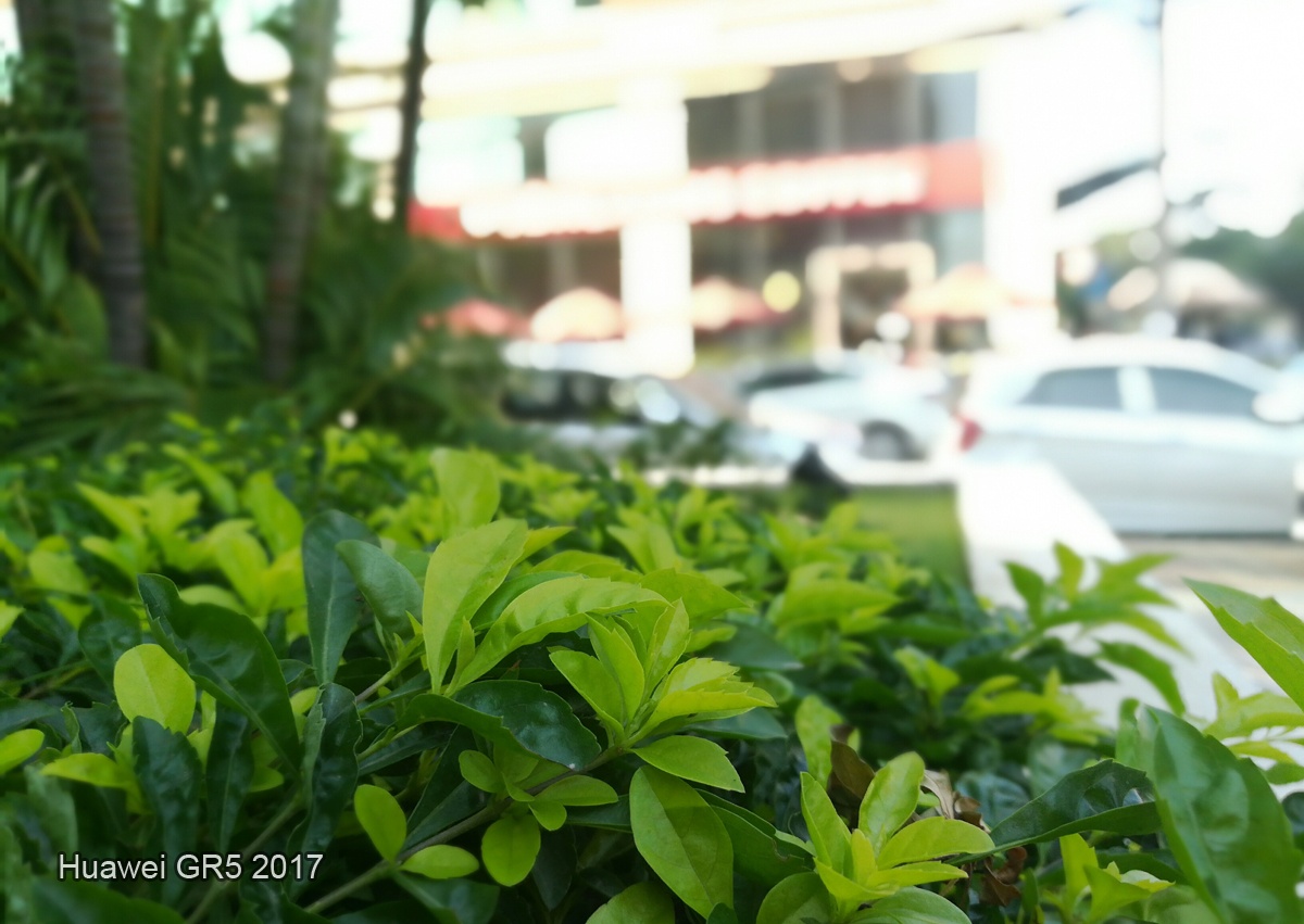 Huawei GR5 2017 anh 4