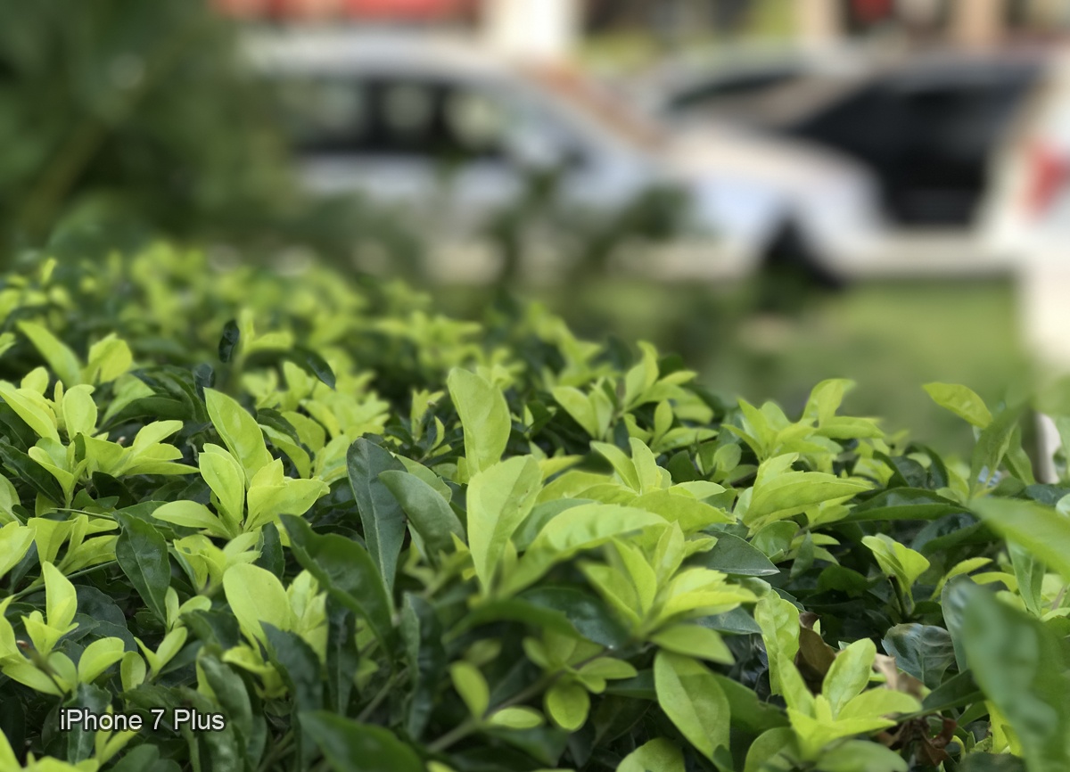 Huawei GR5 2017 anh 5