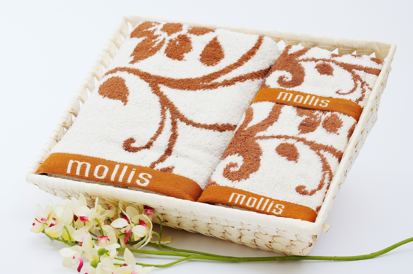 Mollis ảnh 2 Mollis anh 2