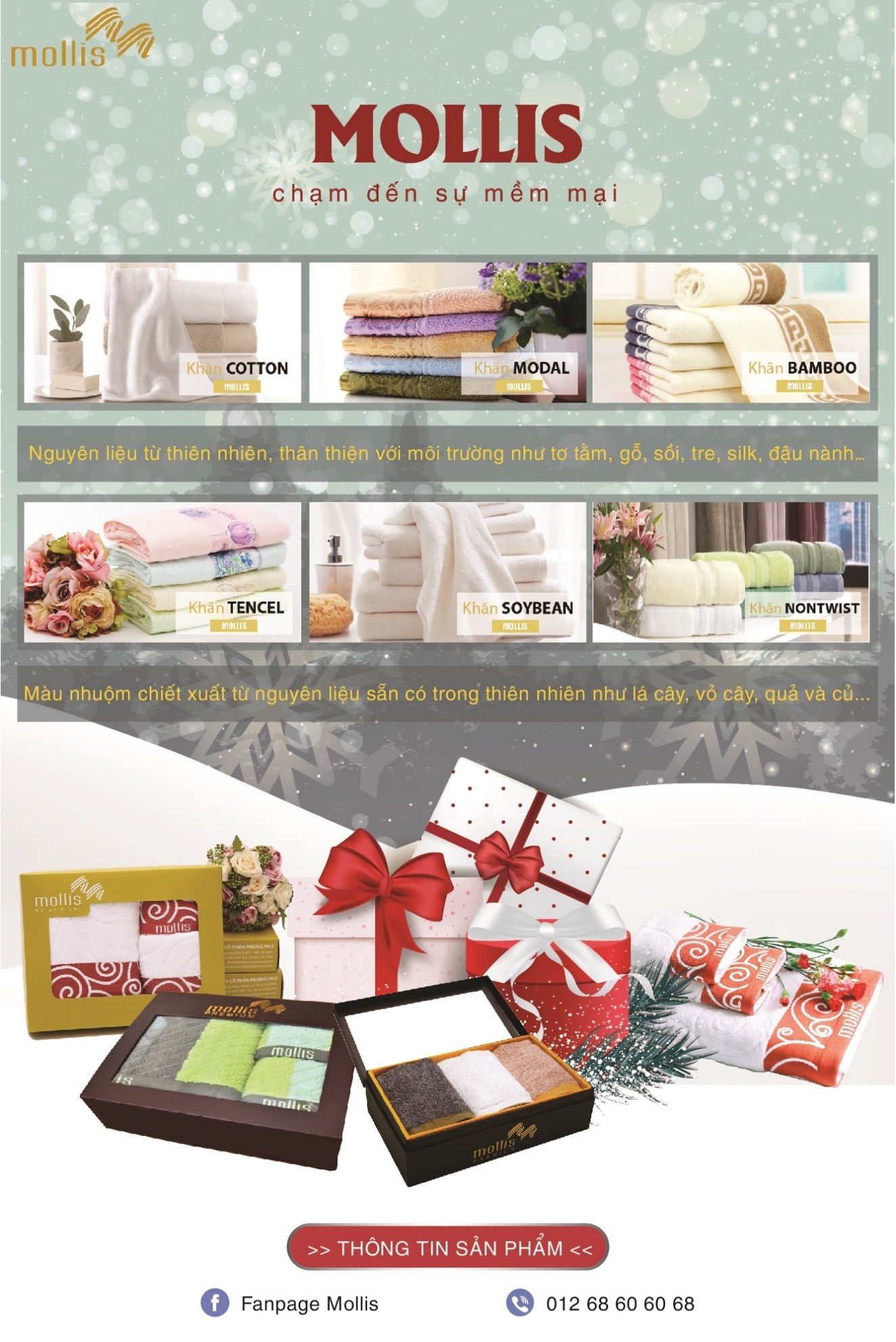 Mollis ảnh 6 Mollis anh 6