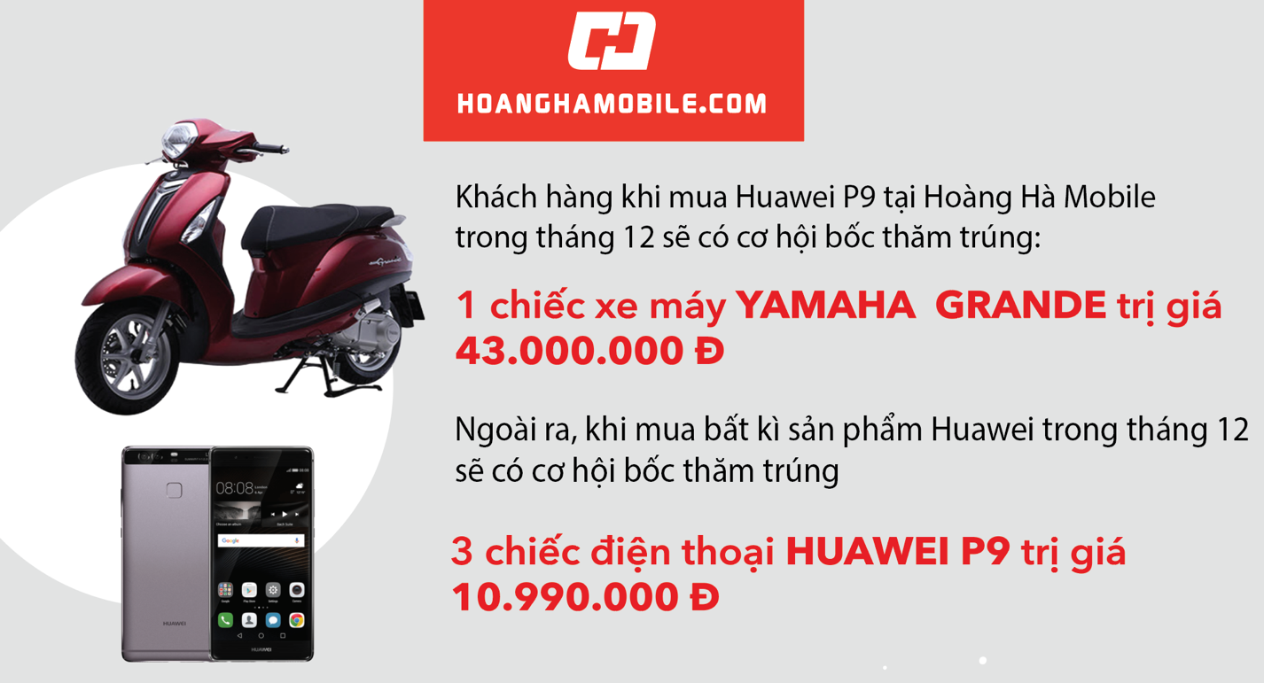 Hoàng Hà Mobile ảnh 2 Hoang Ha Mobile anh 2