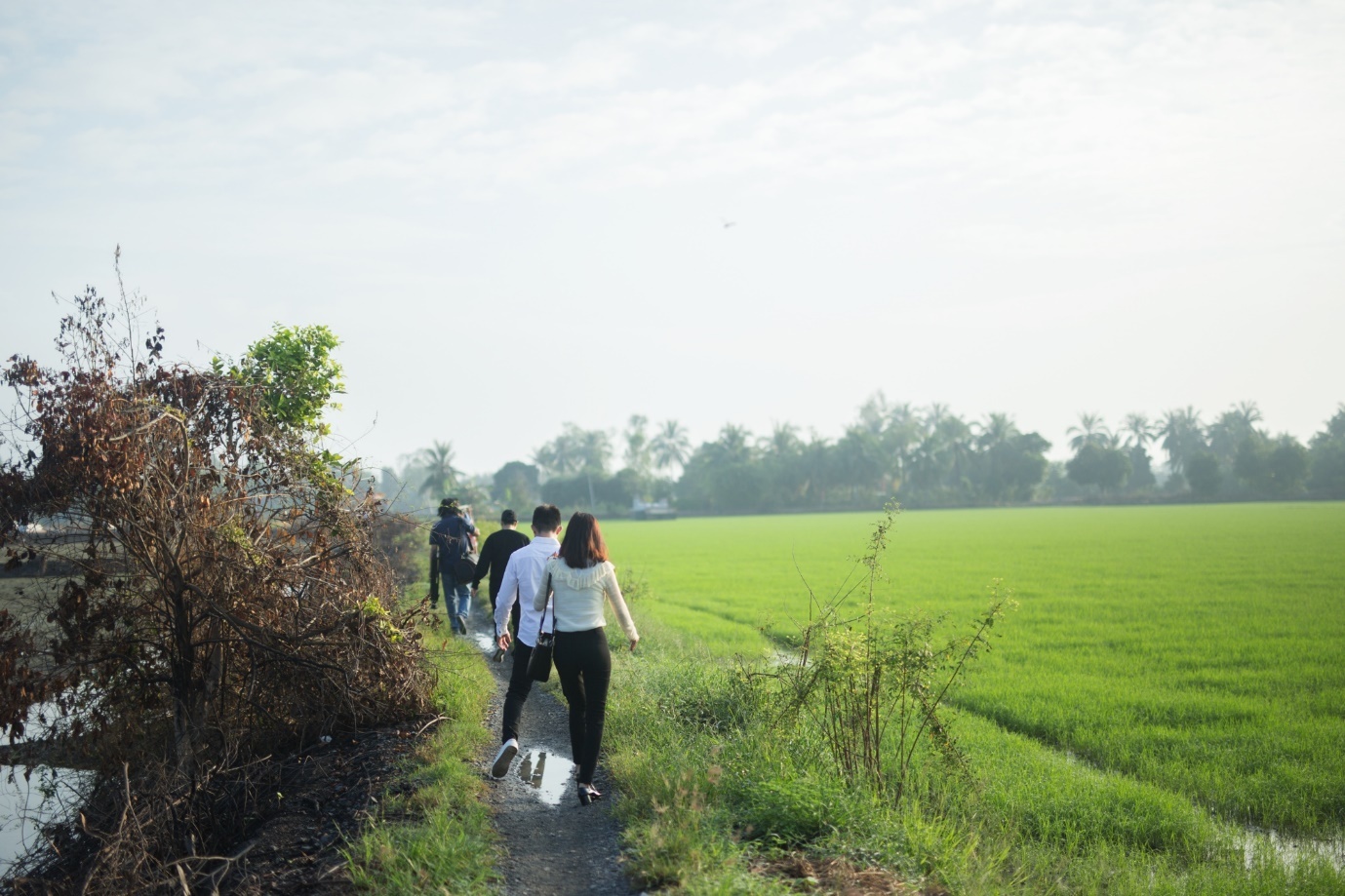 Minh nhua,  Nhua Long Thanh anh 1