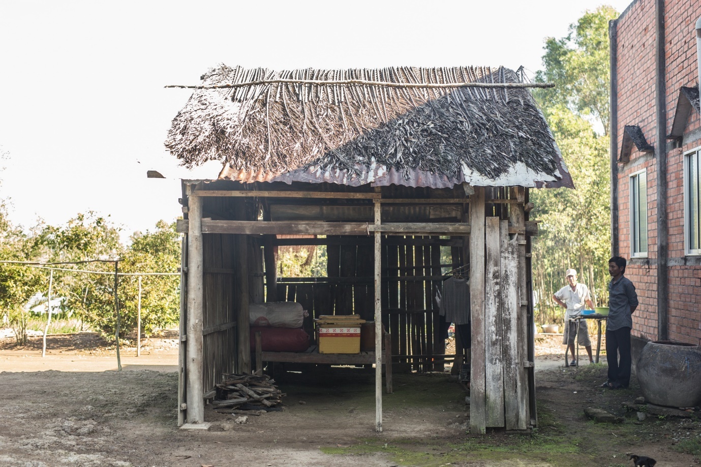 Minh nhua,  Nhua Long Thanh anh 4