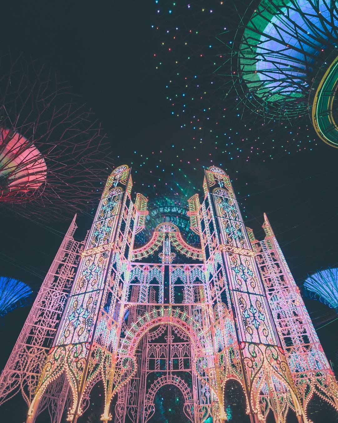 san anh Giang sinh tai Singapore anh 4