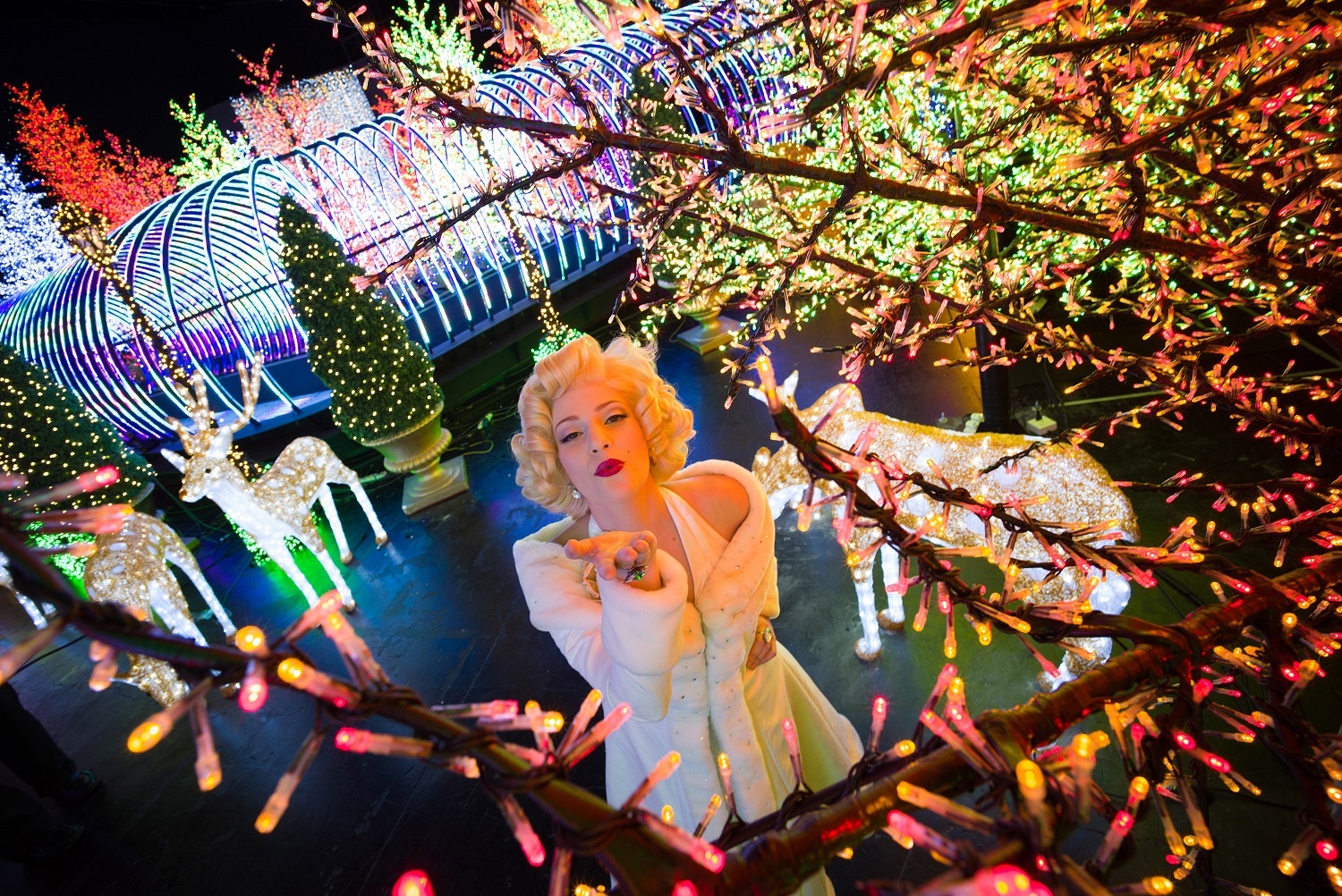 san anh Giang sinh tai Singapore anh 6