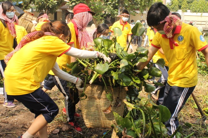 97,7% nguoi Viet tre san sang lam viec tot trong dip Tet hinh anh