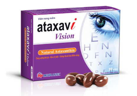 Ataxavi Vision  ảnh 4 Ataxavi Vision anh 4