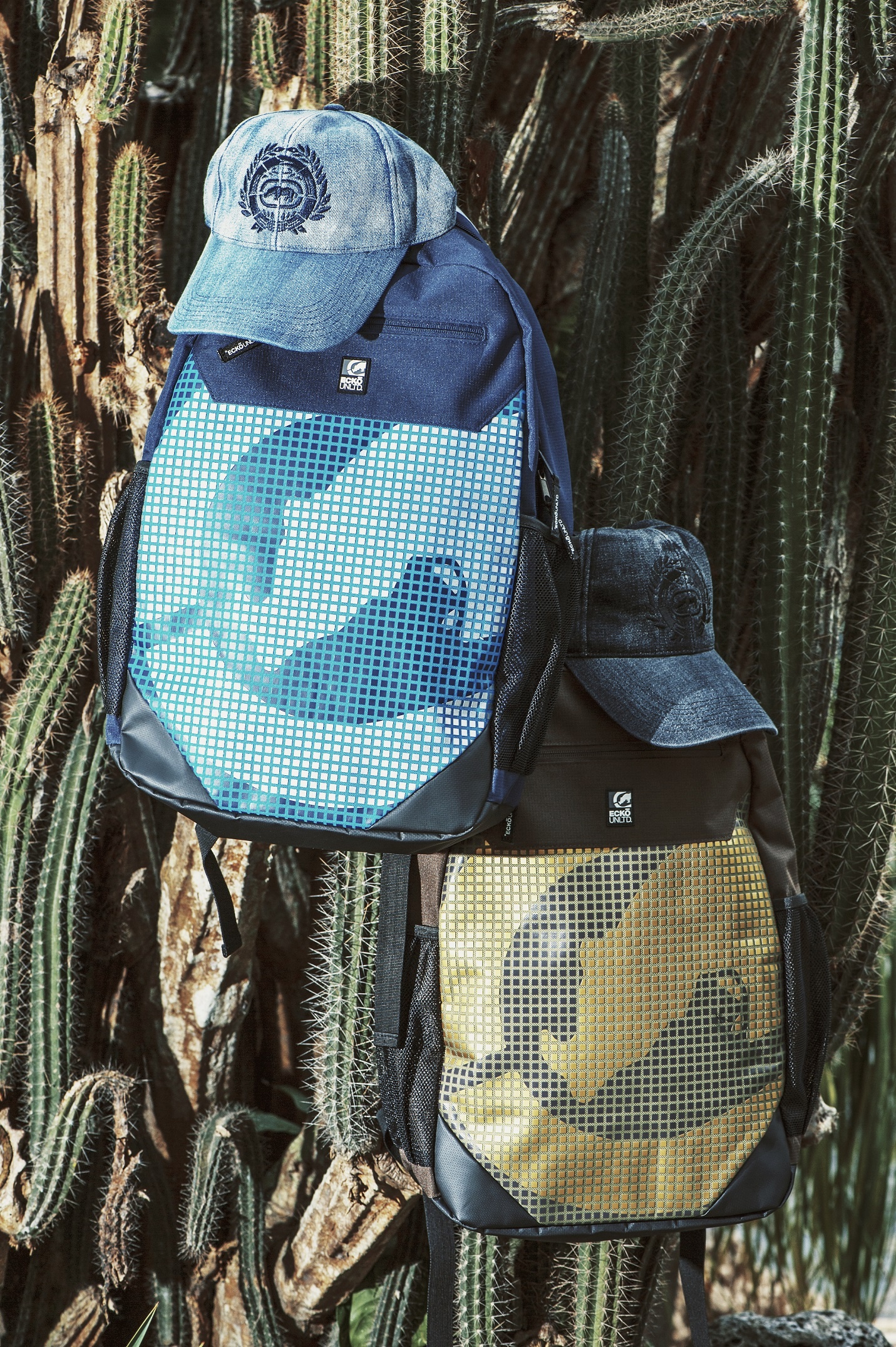 Hoang Phuc International anh 4