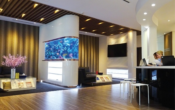 Nha khoa Quoc te Westcoast khai truong phong kham moi hinh anh