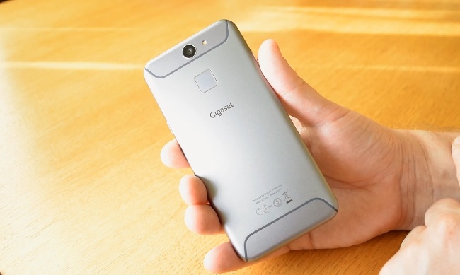 Arbutus ảnh 4 Arbutus anh 4