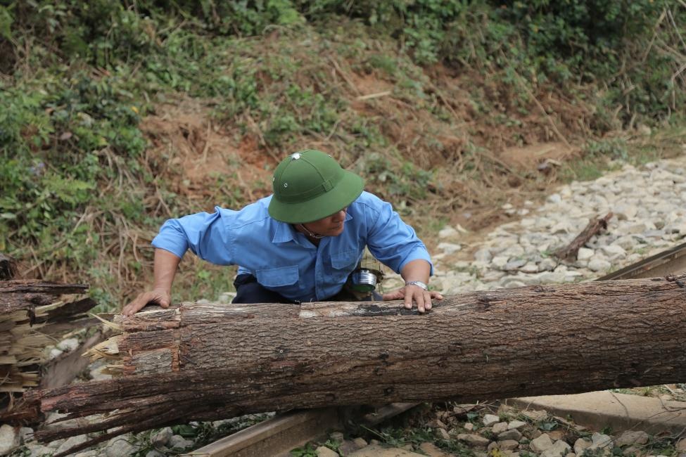 pepsi ảnh 3 pepsi anh 3