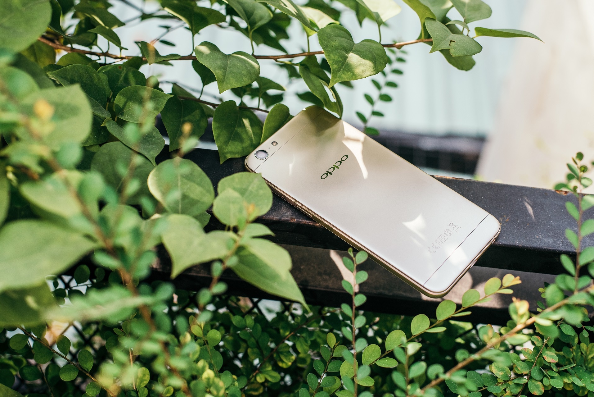 smartphone Oppo chuyên selfie ảnh 4 smartphone Oppo chuyen selfie anh 4