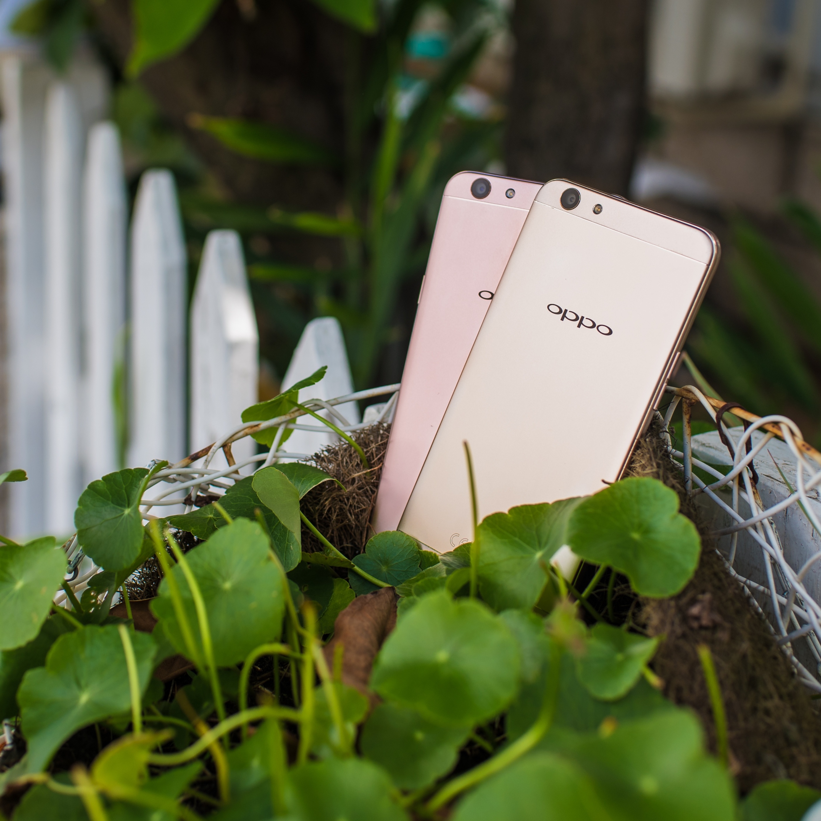 smartphone Oppo chuyên selfie ảnh 2 smartphone Oppo chuyen selfie anh 2