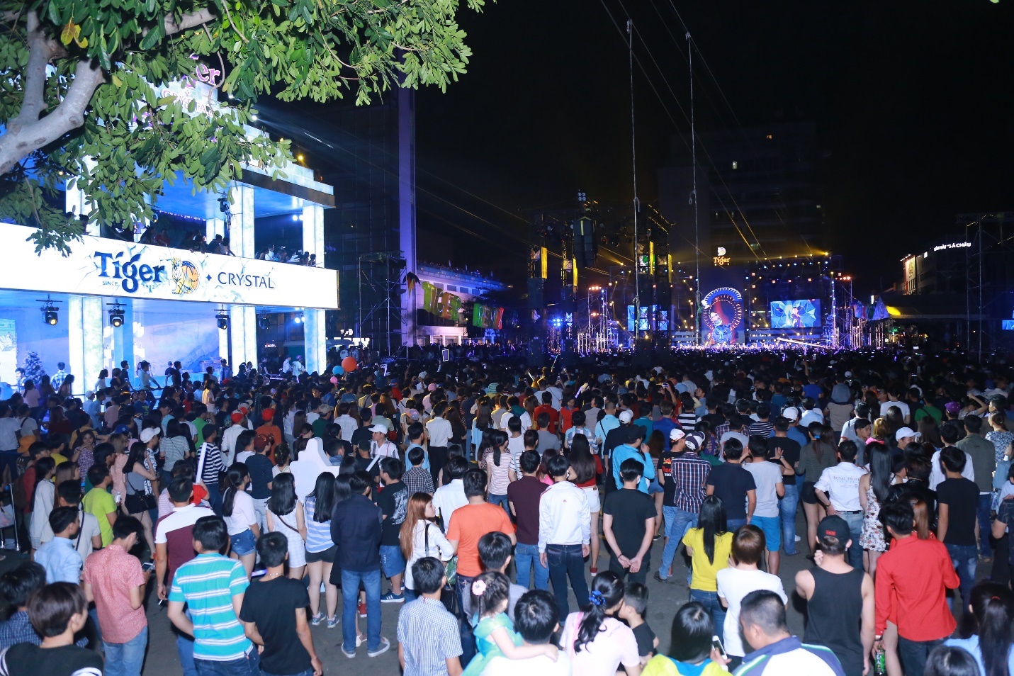 Tiger Remix TP.HCM anh 10